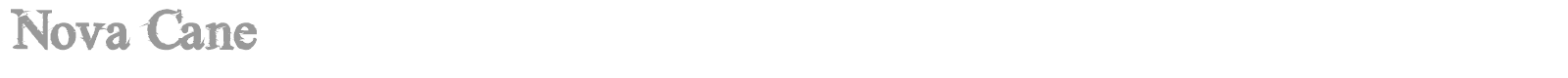 Nova Cane font preview